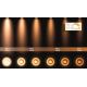 Lucide 09930/20/30 – LED Reguliuojamas akcentinis šviestuvas TAYLOR 4×GU10/5W/230V IP44