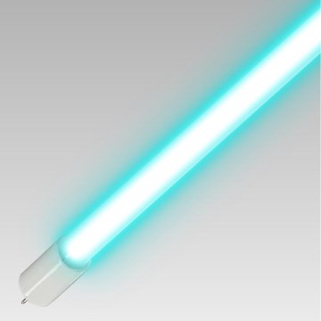 Luxera 70419 - Dezinfekcinis germicidinis T5 UVC vamzdelis/8W/230V