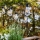 Markslöjd 107293 - LED Dekoratyvinė lauko girlianda GIRLIANDA GARDEN 10xLED 5,5m IP44
