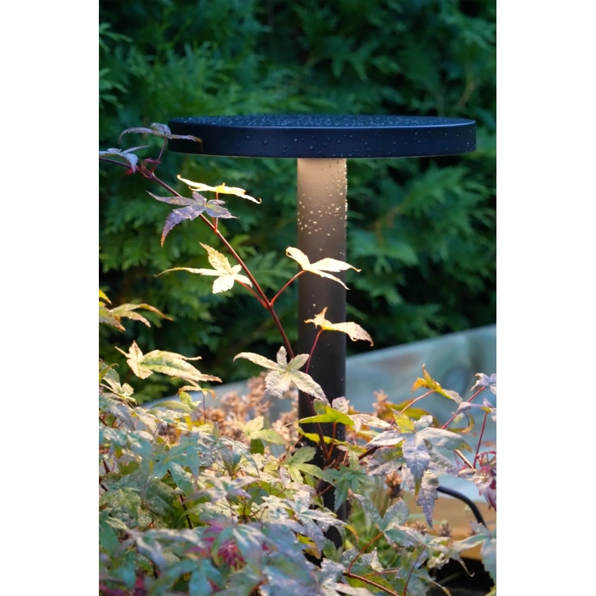 Markslöjd 108173 - LED lauko šviestuvas GARDEN24 LED/5W/24V 75 cm IP44 juoda