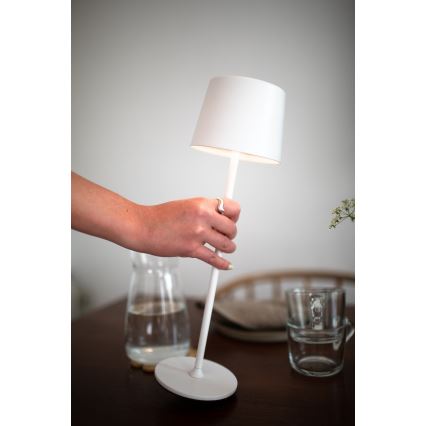 Markslöjd 108654 - LED Pritemdoma įkraunama lempa FIORE LED/2W/5V IP44 38cm balta