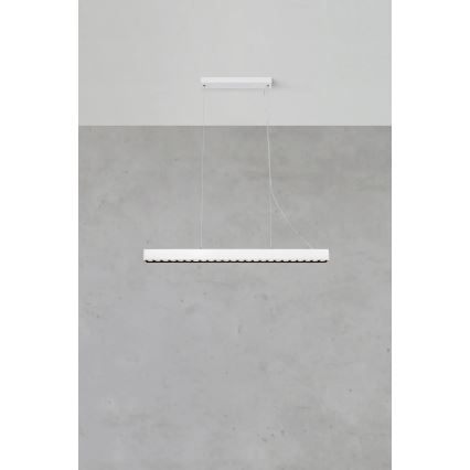 Markslöjd 108892 - dimeriu reguliuojamas LED pakabinamas šviestuvas ant troselio PLANO LED/38W/230V baltas