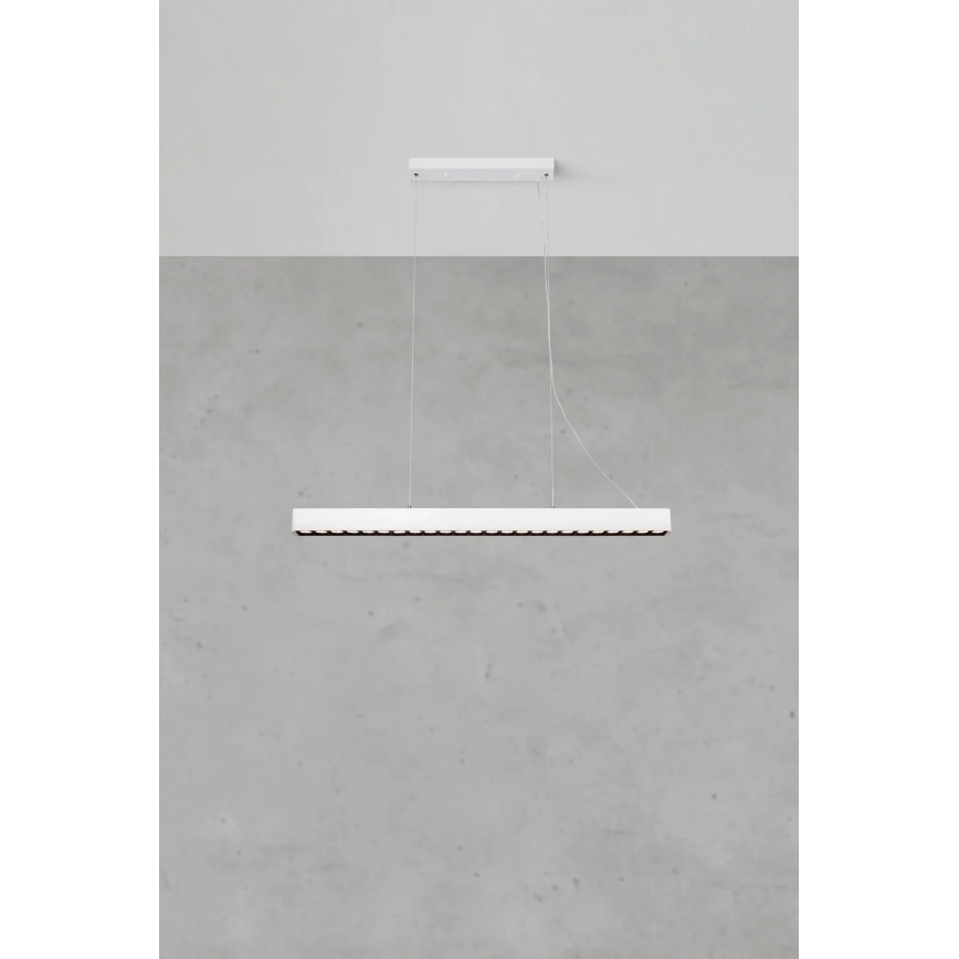 Markslöjd 108892 - dimeriu reguliuojamas LED pakabinamas šviestuvas ant troselio PLANO LED/38W/230V baltas