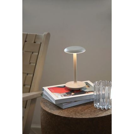 Markslöjd 108917 - LED šviesos reguliavimas lauko įkraunamas Stalinis šviestuvas PETIT LED/2W/1800 mAh 2200/2700/3000K IP44 pilka