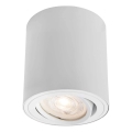 Markslöjd 109020 - dimeriuojamas LED taškinis šviestuvas DIRETTO LED/5W/230V CRI 90 baltas