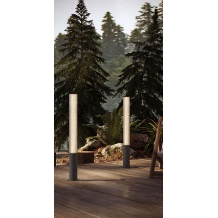 MAXLIGHT F0065 - LED lauko šviestuvas GARDENIA LED/25W/230V 105 cm CRI 93 IP65 antracitas