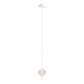 MAXLIGHT P0527 - LED Pakabinamas sietynas PALLONCINI 2xLED/3W/230V diametras 12 cm permatoma