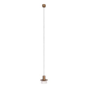 MAXLIGHT P0530 - LED Pakabinamas sietynas SIGNATURE LED/8W/230V diametras 15 cm žalvaris/permatoma