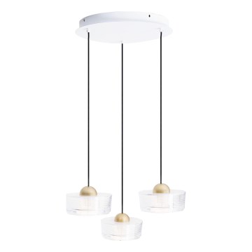 MAXLIGHT P0543 - LED Pakabinamas sietynas LIPARI LED/22W/230V diametras 35 cm permatoma