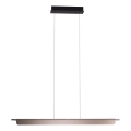 MAXLIGHT P0597 - LED reguliuojamas šviestuvas ant laido JO-JO LED/40W/230V 2700/4500/5500K antracitas