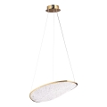 MAXLIGHT P0637D - LED liustra ant laido EMPIRE LED/17W/230V auksinė