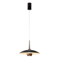 MAXLIGHT P0676 - LED liustra ant laido MANUKA LED/12W/230V Ø 28 cm auksinė/juoda