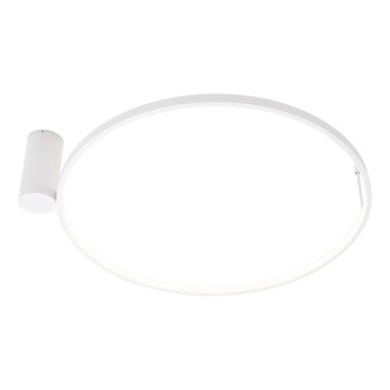 MAXLIGHT W0434 - LED vonios kambario lubinis šviestuvas VISUAL LED/22W/230V skersmuo 60 cm IP44 baltas