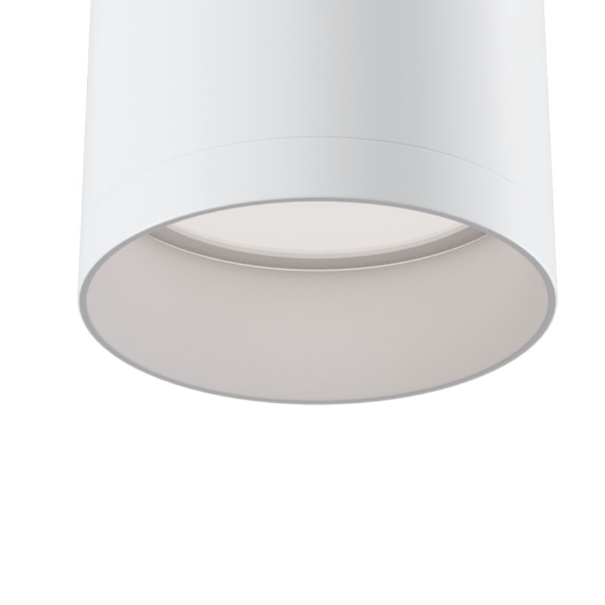 Maytoni C010CL-01W - Akcentinis apšvietimas FOCUS 1xGU10/50W/230V balta