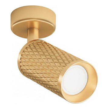 Maytoni C034CL-01G - Taškinis šviestuvas FOCUS 1xGU10/10W/230V auksinis