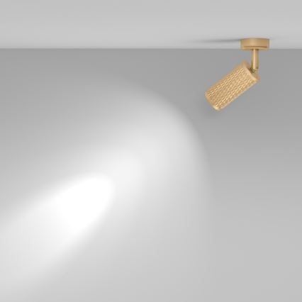 Maytoni C034CL-01G - Taškinis šviestuvas FOCUS 1xGU10/10W/230V auksinis