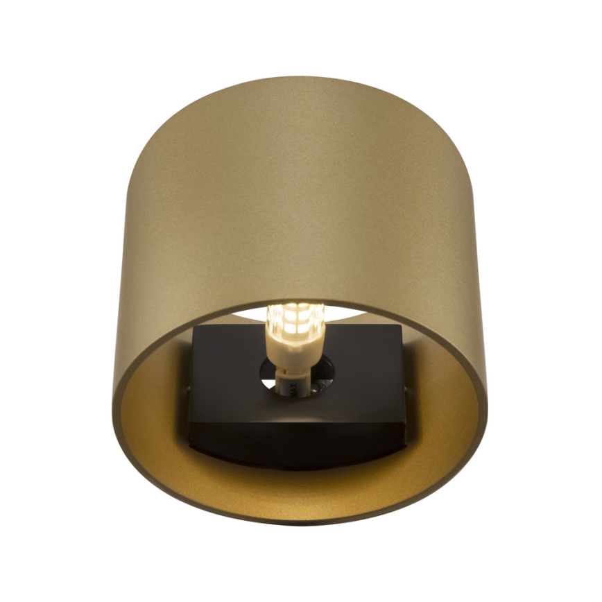 Maytoni C066WL-01MG - Sieninis šviestuvas ROND 1xG9/50W/230V auksas