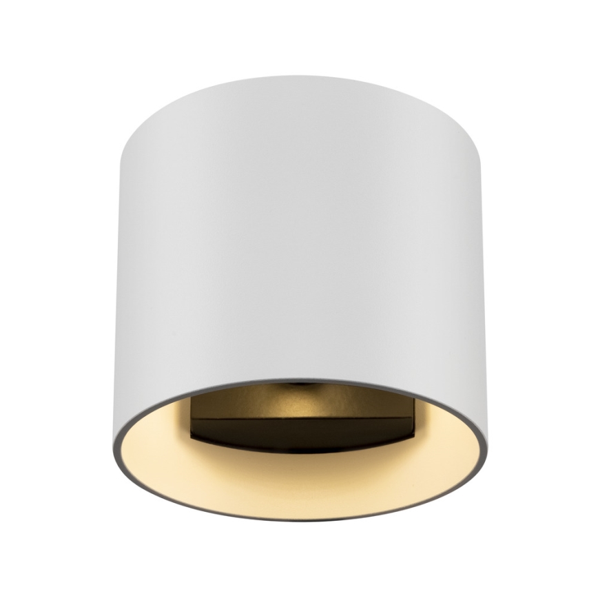 Maytoni C066WL-01W - Sieninis šviestuvas ROND 1xG9/50W/230V balta