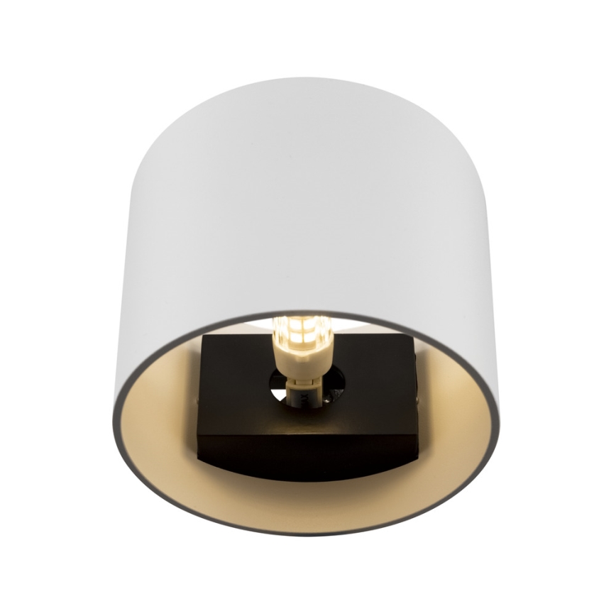 Maytoni C066WL-01W - Sieninis šviestuvas ROND 1xG9/50W/230V balta