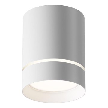 Maytoni C085CL-9W4K-W - LED akcentinis šviestuvas ORLO LED/9W/230V CRI 90 4000K balta