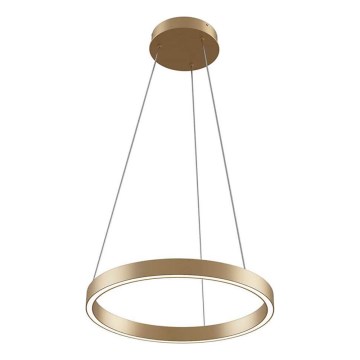 Maytoni MOD058PL-L22BS3K - LED Pakabinamas sietynas RIM LED/25W/230V 3000K diametras 40 cm auksas