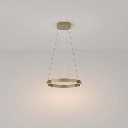 Maytoni MOD058PL-L22BS3K - LED Pakabinamas sietynas RIM LED/25W/230V 3000K diametras 40 cm auksas