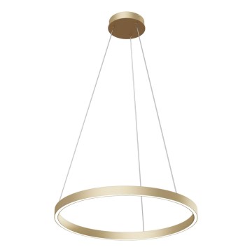 Maytoni MOD058PL-L32BS4K - LED Pakabinamas sietynas RIM LED/37W/230V 4000K diametras 60 cm auksas