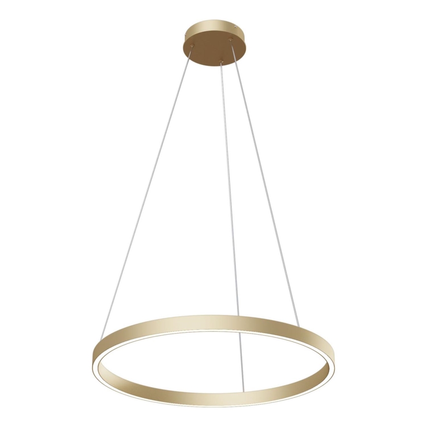 Maytoni MOD058PL-L32BS4K - LED Pakabinamas sietynas RIM LED/37W/230V 4000K diametras 60 cm auksas