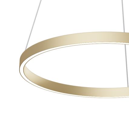 Maytoni MOD058PL-L32BS4K - LED Pakabinamas sietynas RIM LED/37W/230V 4000K diametras 60 cm auksas