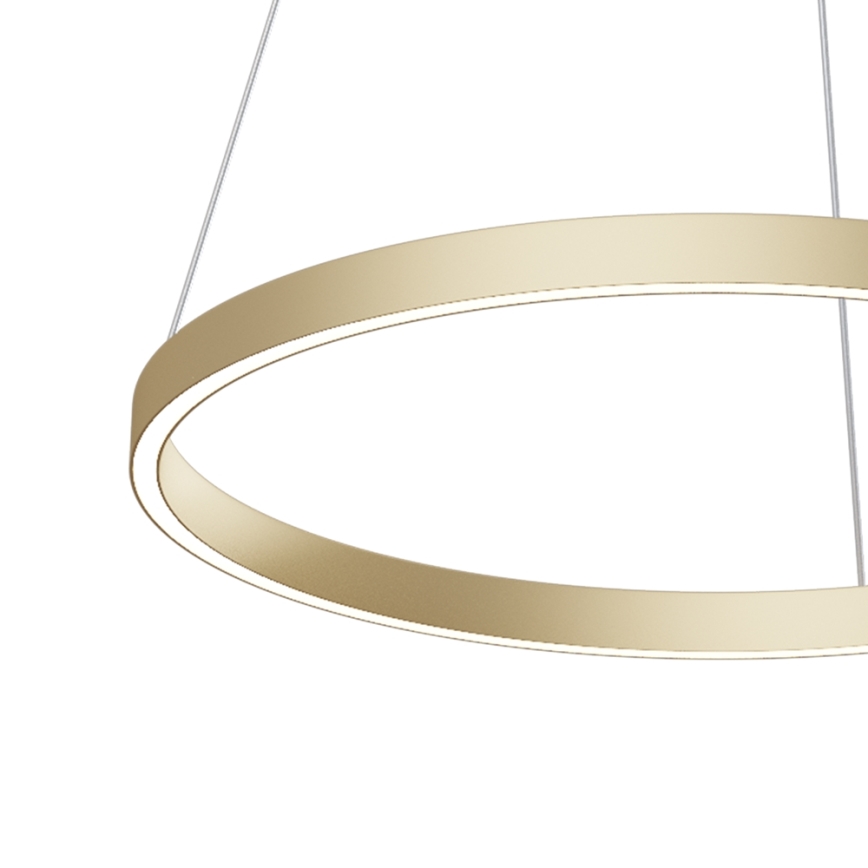 Maytoni MOD058PL-L32BS4K - LED Pakabinamas sietynas RIM LED/37W/230V 4000K diametras 60 cm auksas