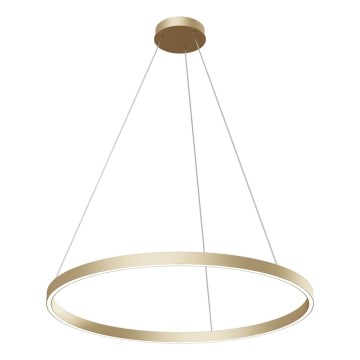 Maytoni MOD058PL-L42BS4K - LED Pakabinamas sietynas RIM LED/51W/230V 4000K diametras 80 cm auksas