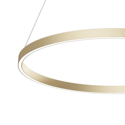 Maytoni MOD058PL-L42BS4K - LED Pakabinamas sietynas RIM LED/51W/230V 4000K diametras 80 cm auksas
