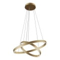 Maytoni MOD058PL-L55BS3K - LED Pakabinamas sietynas RIM LED/61W/230V 3000K diametras 60 cm auksas