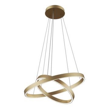 Maytoni MOD058PL-L55BS3K - LED Pakabinamas sietynas RIM LED/61W/230V 3000K diametras 60 cm auksas