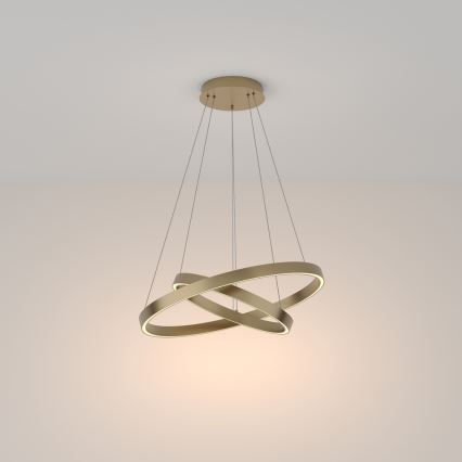 Maytoni MOD058PL-L55BS3K - LED Pakabinamas sietynas RIM LED/61W/230V 3000K diametras 60 cm auksas