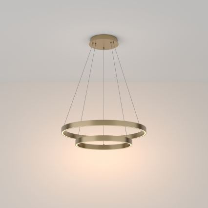 Maytoni MOD058PL-L55BS3K - LED Pakabinamas sietynas RIM LED/61W/230V 3000K diametras 60 cm auksas