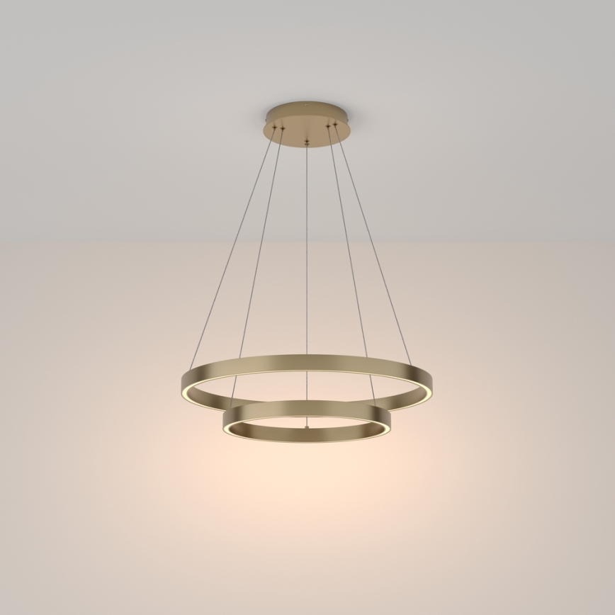 Maytoni MOD058PL-L55BS3K - LED Pakabinamas sietynas RIM LED/61W/230V 3000K diametras 60 cm auksas