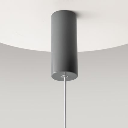 Maytoni MOD189PL-L12GR3K1 - pakabinamas LED šviestuvas ant laido GERHARD LED/19W/230V, skersmuo 30 cm, pilkas