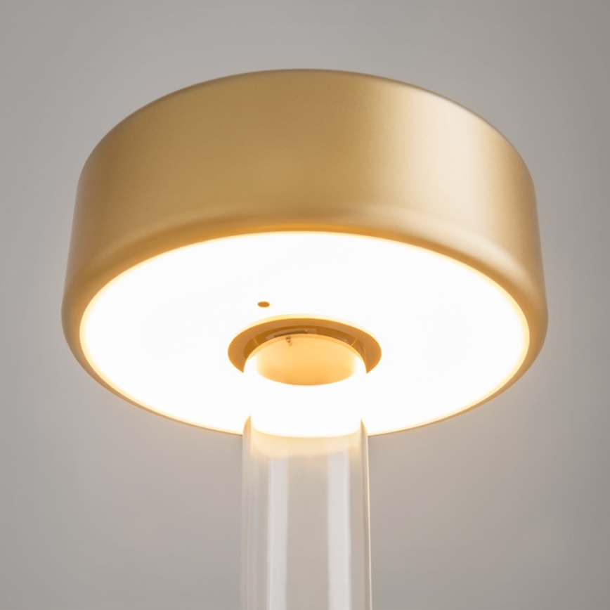 Maytoni MOD229TL-L3G3K1 – LED Pritemdoma įkraunama nešiojama stalinė lempa LED/3W/5V 2200-4000K auksinė/skaidri