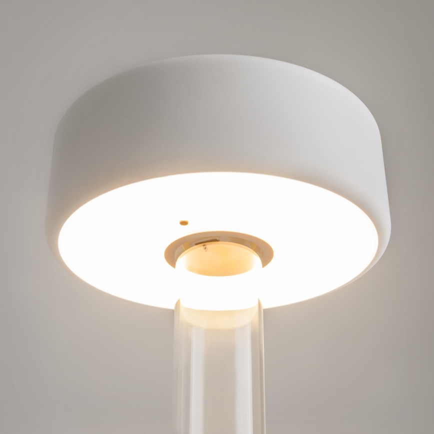 Maytoni MOD229TL-L3W3K1 - LED šviesos reguliavimas įkraunamas nešiojamas Stalinis šviestuvas LED/3W/5V 2200-4000K balta/permatoma
