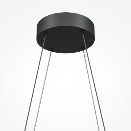 Maytoni MOD244PL-L50BK - pakabinamas LED šviestuvas ant troselės HALO LED/40W/230V juodas