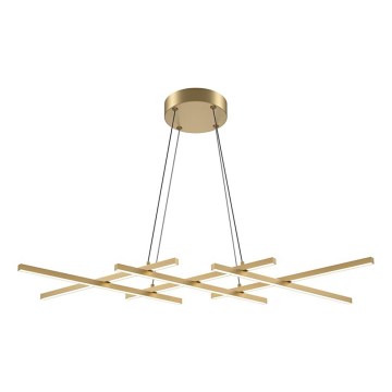 Maytoni MOD244PL-L50BSK - LED liustra ant laido HALO LED/40W/230V auksinė