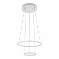 Maytoni MOD807-PL-02-36-W - LED sietynas ant grandinės NOLA LED/36W/230V