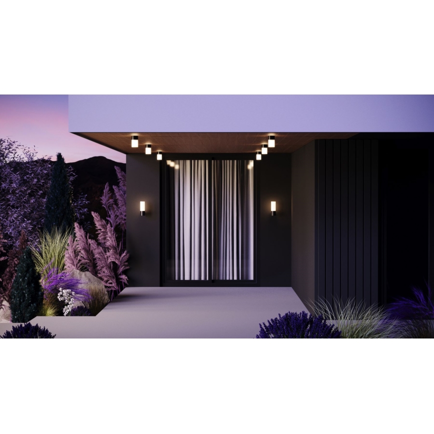Maytoni O418WL-01B - Lauko sieninis šviestuvas WILLIS 1xE27/60W/230V IP54 juoda