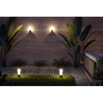 Maytoni O418WL-01GR - Lauko sieninis šviestuvas WILLIS 1xE27/60W/230V IP54 antracitas