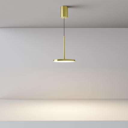 Maytoni P076PL-L12W3K-BS - LED Pakabinamas sietynas PLATO LED/12W/230V 3000K auksas