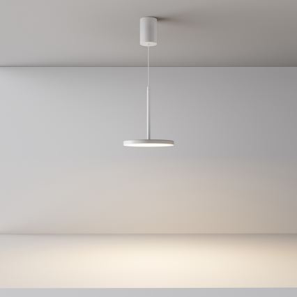 Maytoni P076PL-L12W3K-W - LED Pakabinamas sietynas PLATO LED/12W/230V 3000K balta