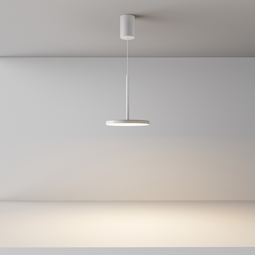 Maytoni P076PL-L12W3K-W - LED Pakabinamas sietynas PLATO LED/12W/230V 3000K balta
