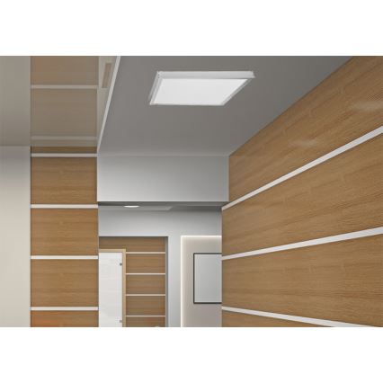 Metalinis rėmelis LED panelių montavimui ZEUS 1195x295mm