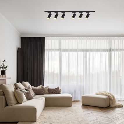 MICA taškinis šviestuvas, skirtas bėgelių sistemai, 6xGU10/10W/230V, juodas/auksinis